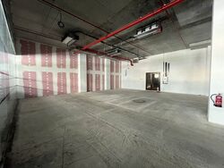  (D7), Retail #444387741